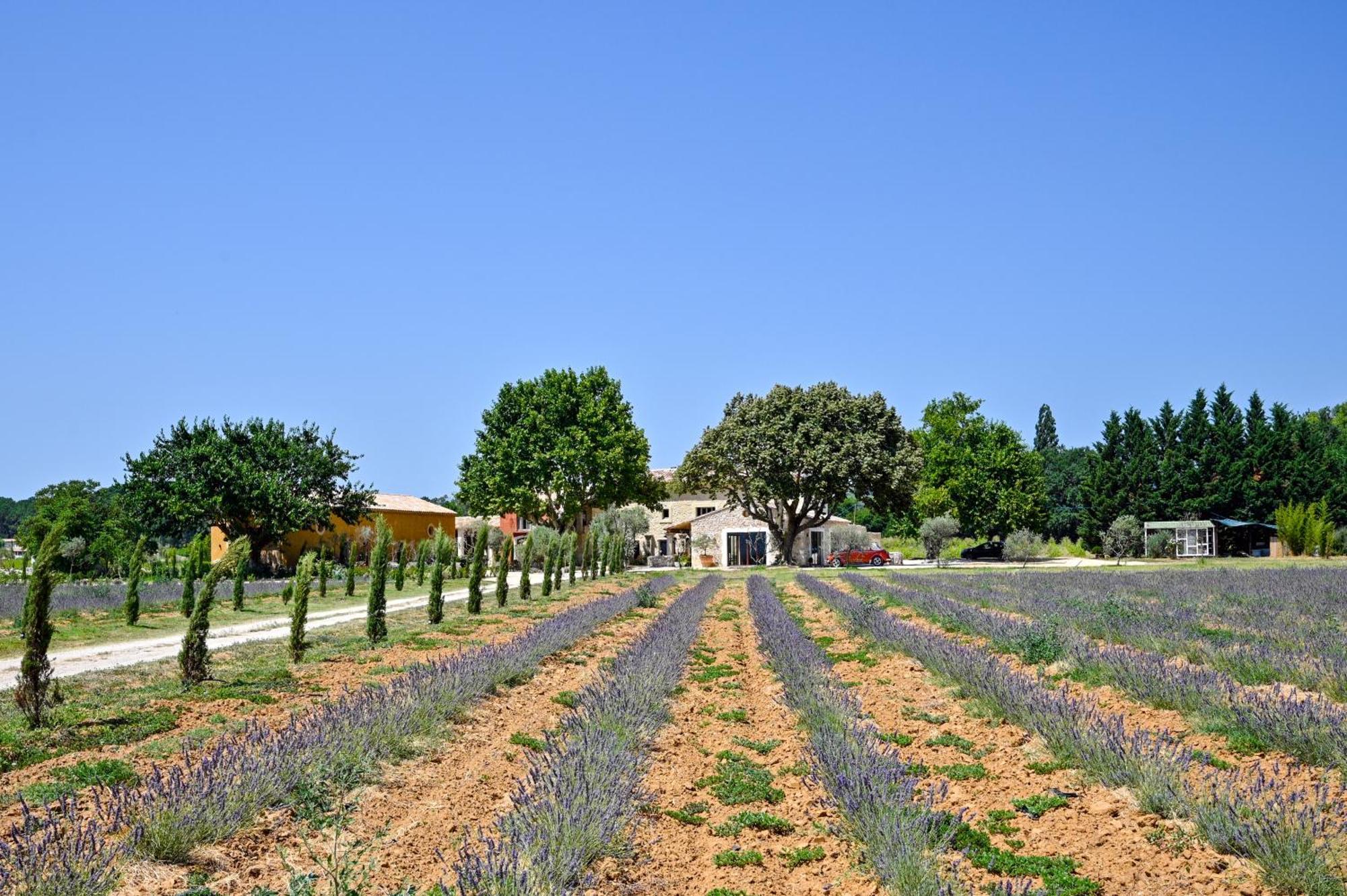 Domaine D'Egenia Villa Roussillon  Exterior photo